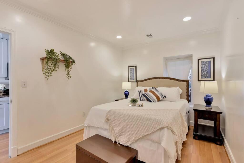 Dc A Lovely Urban Oasis Apartment *